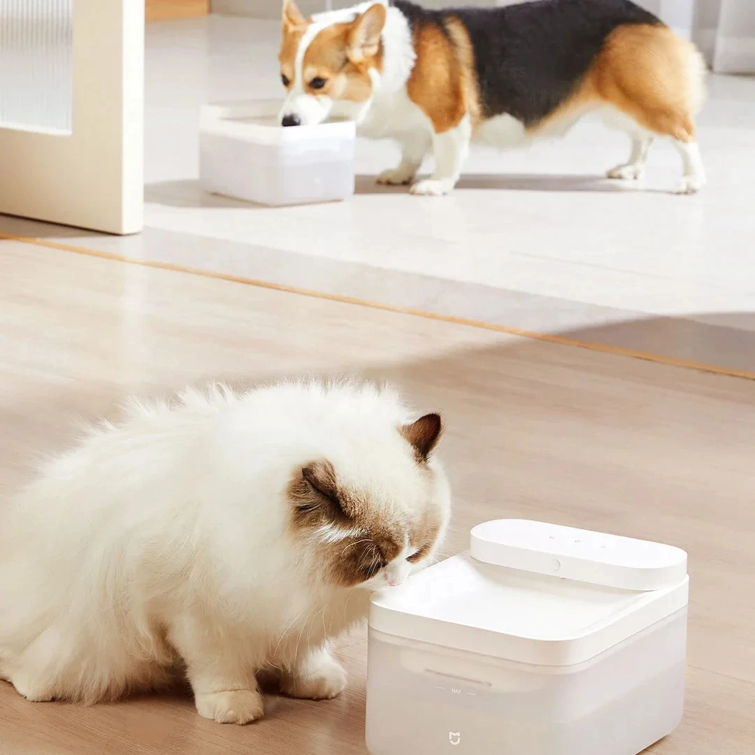 Xiaomi Wireless Smart Pet Water Drinking Dispenser Fountain Dog Cat Automatic Pet Mute Drink Feeder Bowl funziona con l\'app Mijia