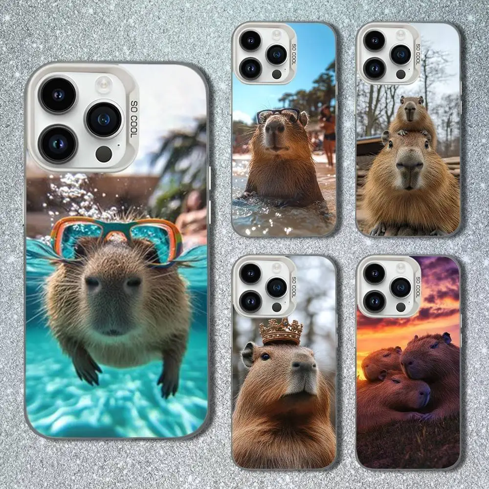 

Funny Capybara Cute Animal Phone Case For iPhone 13,15,14,16,12,11,Mini,MAXXS,Pro,SE, White Matte Shockproof Cover
