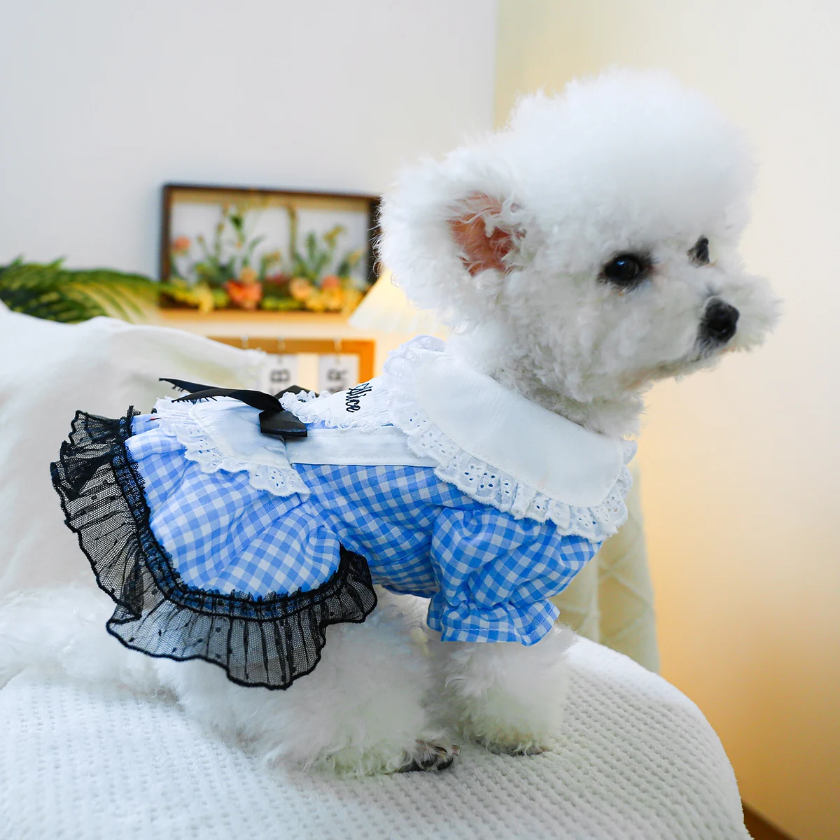 1PC Pet Clothing Cat Spring/Summer Blue Lolita Strap Princess Dress Traction Buckle Suitable for Small and Medium sized Dogs