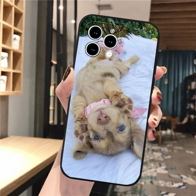 

Phone Case Carcasa Funda For iPhone 17 Pro Max 17 Air 16 15 14 13 Pro Max 15 16 Pro 15Plus Dachshund Dog