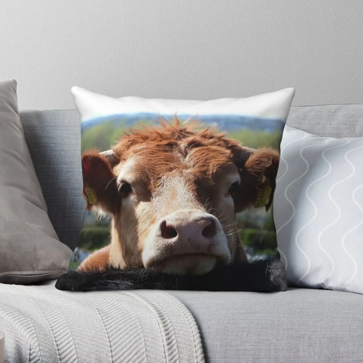 Chin Up Cow Pillowcase Polyester Linen Velvet Pattern Zip Decor Pillow Case Room Cushion Cover