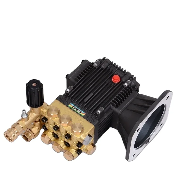 

250 BAR 16L/min Car Washer Pump High Pressure Cleaner Electricidad Pressure Washer Pump High Pressure Piston Pump