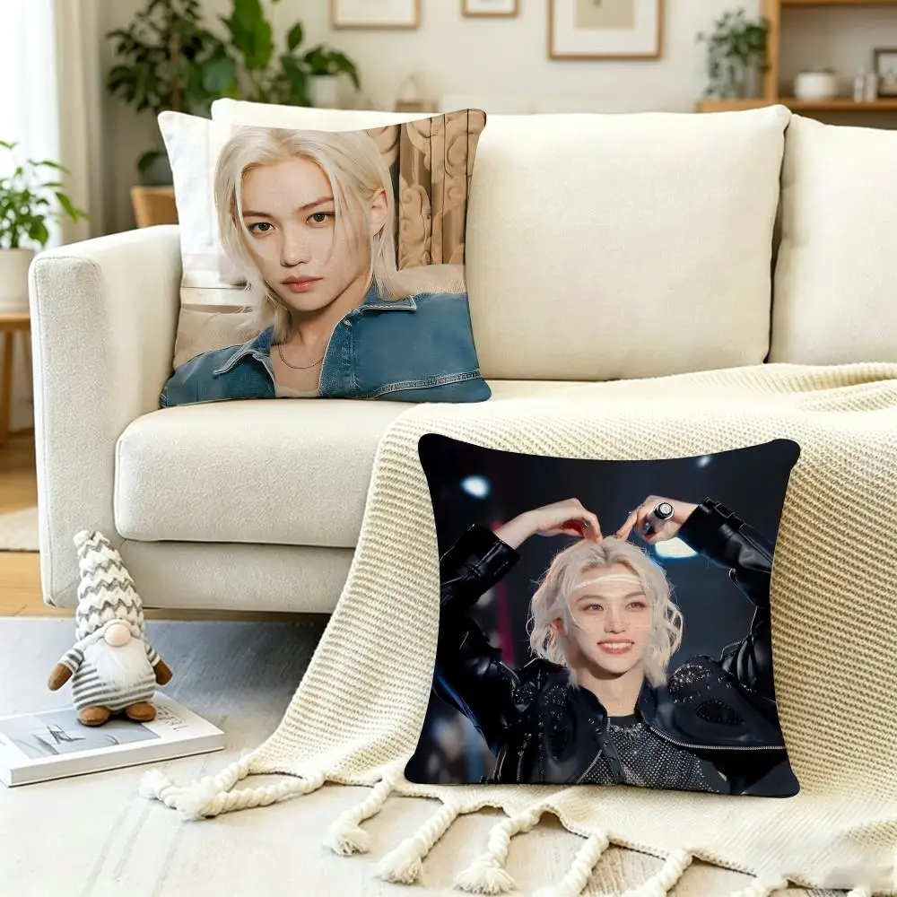 SINGER S-StrayS KidsS FelixS Cushion Cover Anti-dustmite Pillowcase Invisible zipper silky short plush Sofa cushion cover