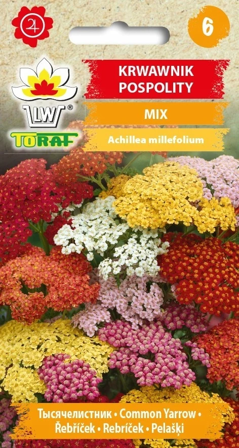 Yarrow MIX Gemischte Blumensamen-545 Toraf