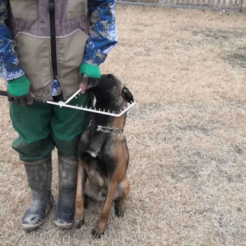 New Design Supplies Correction of Crowding Pet Alloy Material Rod Dog Bite Pillow Safety Training Eco-Friendly