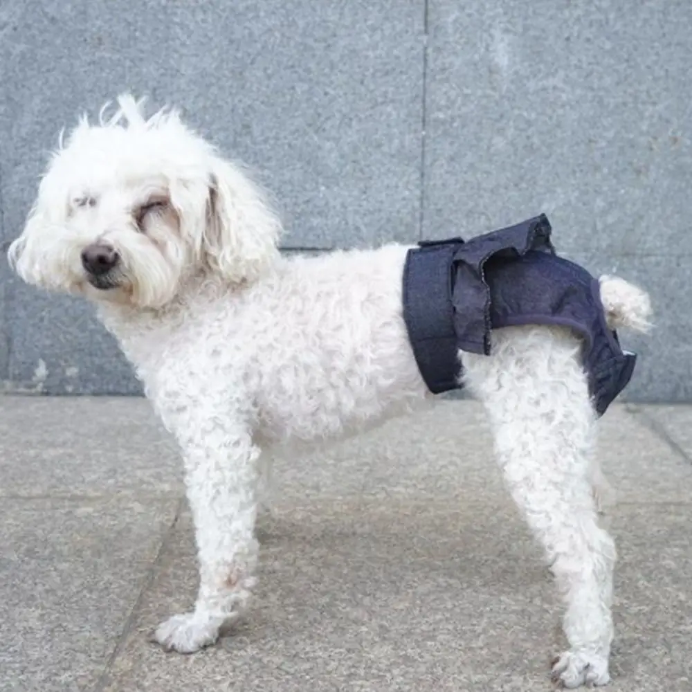 Anti-pregnancy Pet Menstrual Pants Easy to Wash Soft Dog Maternity Pants Anti-harassment Dog Physiological pants Female Dog