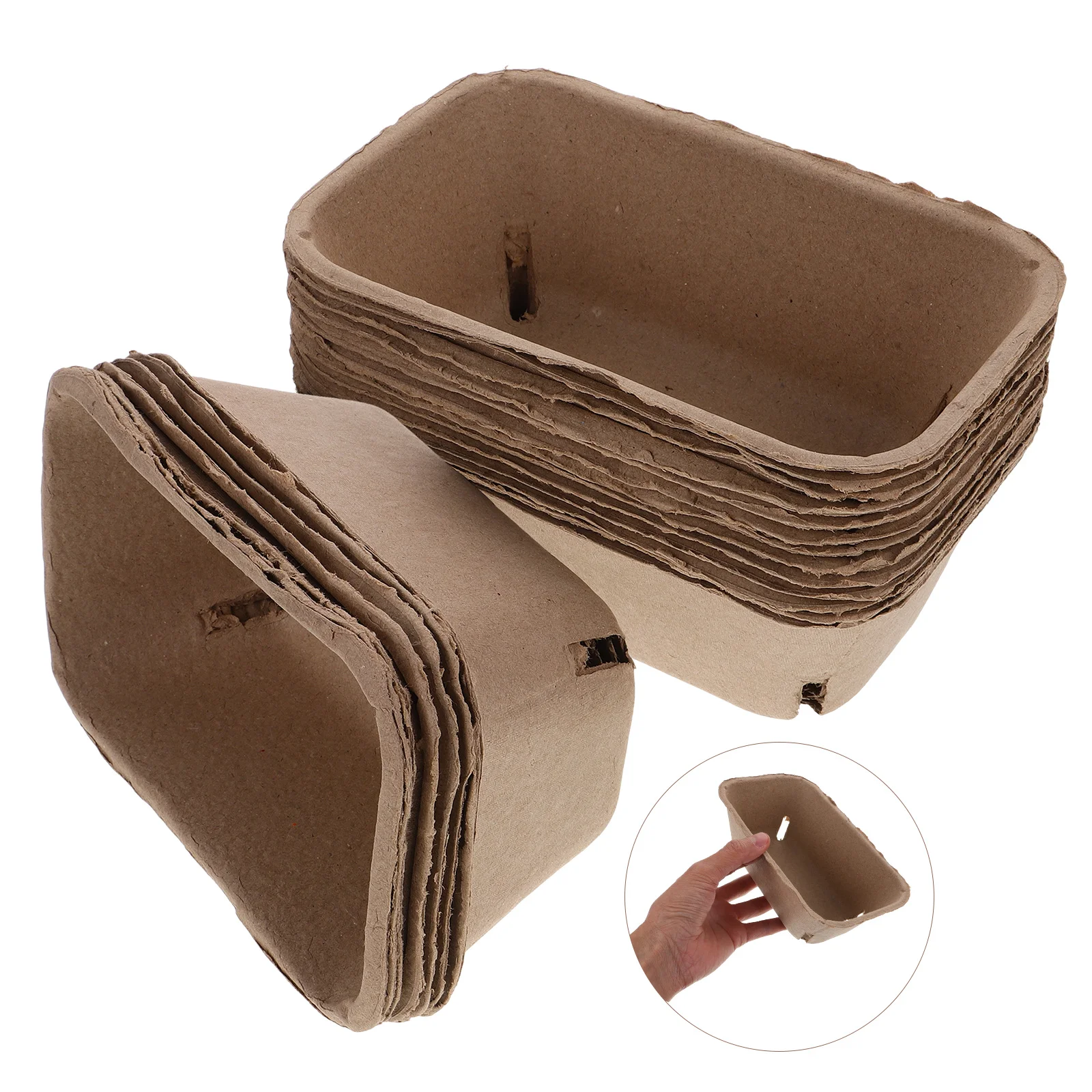 

20 шт., поднос с черникой