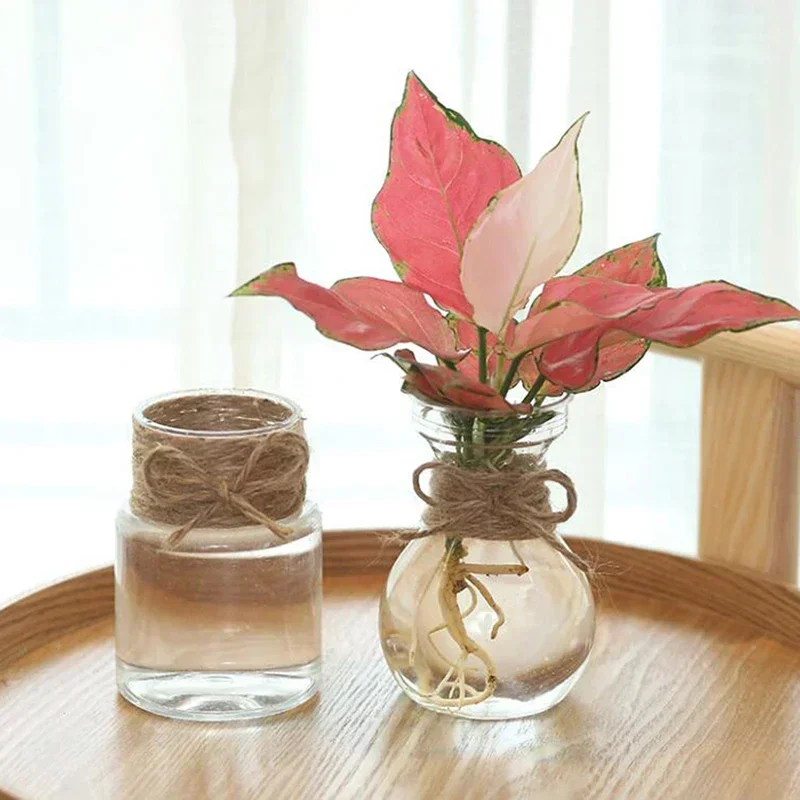 Clear Plastic Hyacinth Vase Transparent Flower Plant Bottle Pot DIY Ornaments Home Living Room Garden Decoration Desk Decors