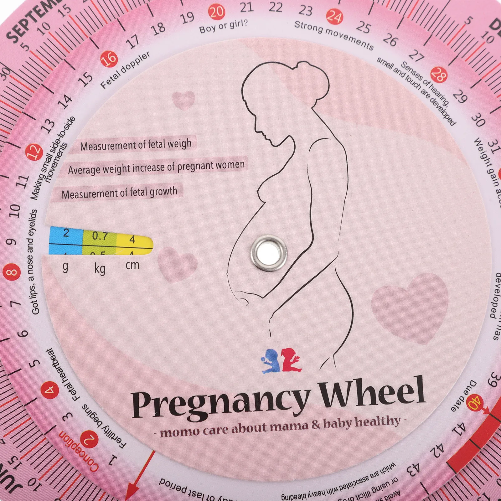 2Pcs Pregnancy Calculator Wheel Pregnant woman's Pregnancy Check Tool For Gestational Age Tracking Development Monitoring