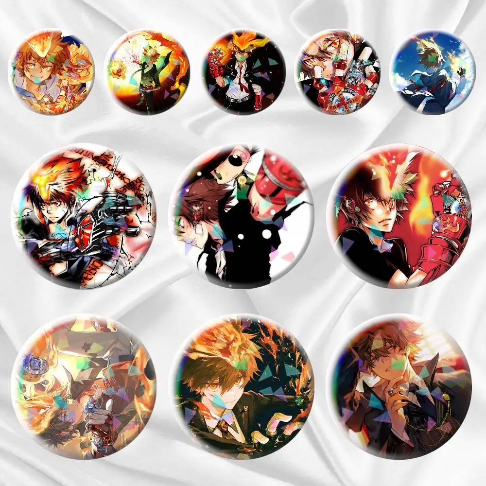 

Anime K-Katekyo Hitman Reborn! 75mm 44mm 25mm Brooch Backpack Hat Pins Accessories Toys Badge