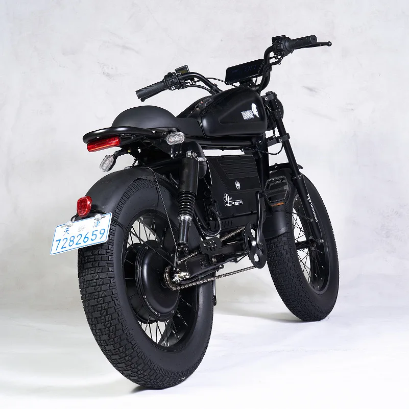 STLF Fashion Customized Diversiform Aluminum Alloy Frame 1500w 48v High Ebike Fat Tire Ebike Bicycles Electric Bike