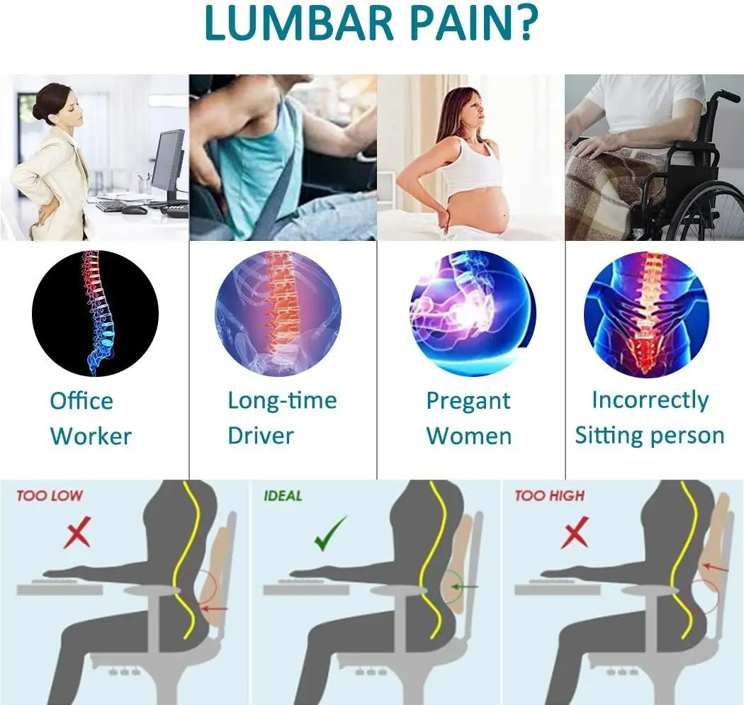 

Lumbar Support Pillow And Seat Cushion For Office Chair