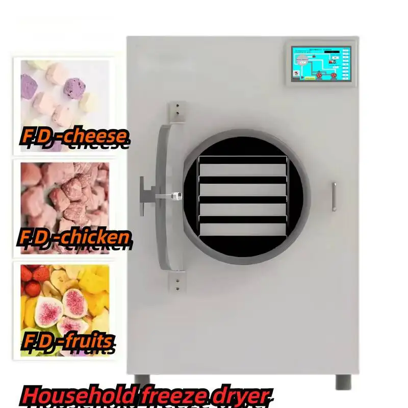 Commercial Stainless Steel Vacuum Freeze Dryer Machine for Food Processing Eco-Friendly & Energy Saving Model