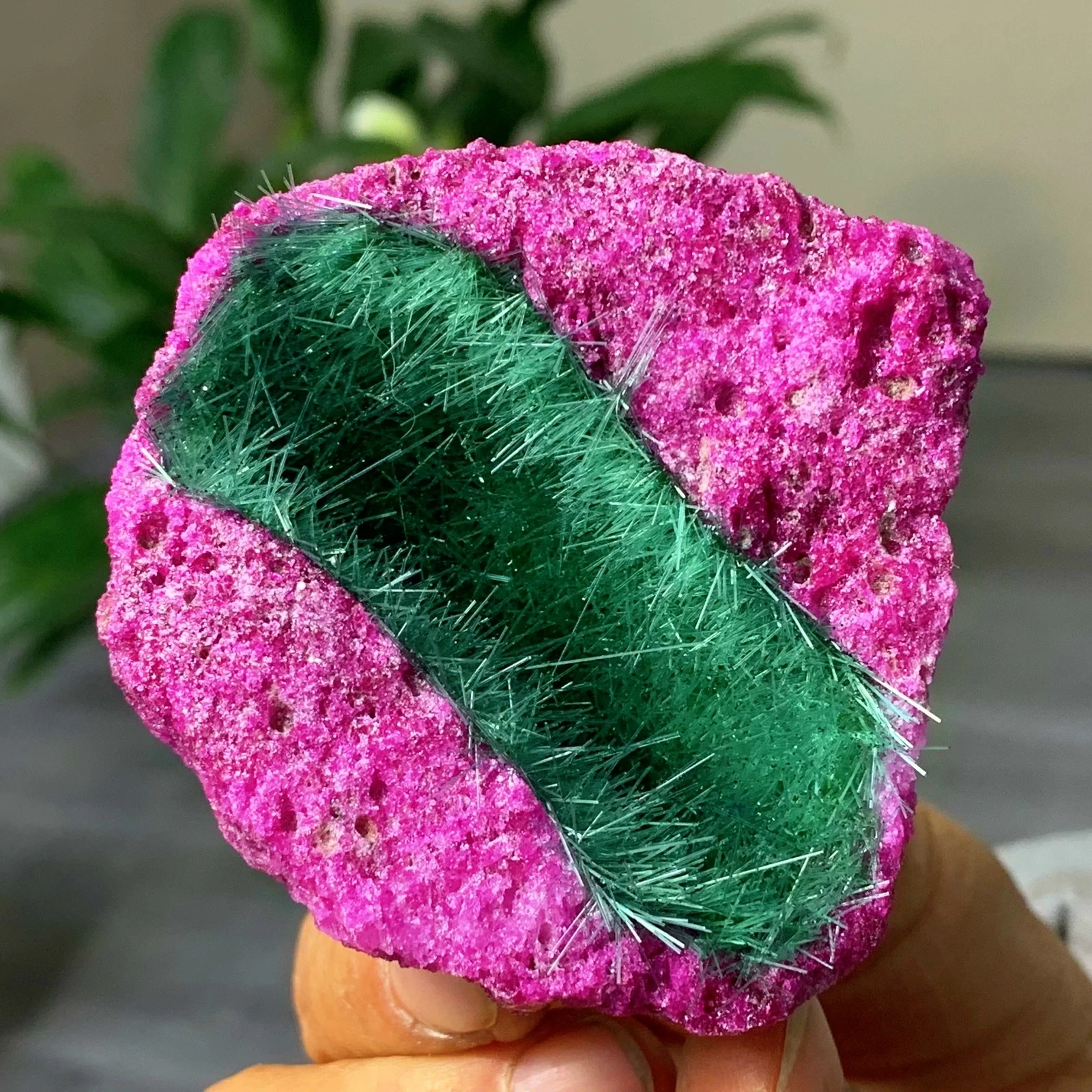 

1pc Red Tourmaline of Morocco Mineral Specimen, Green Needle Ironstone Quartz Synthetic, Magnesite Crystal Multipoint Geometry