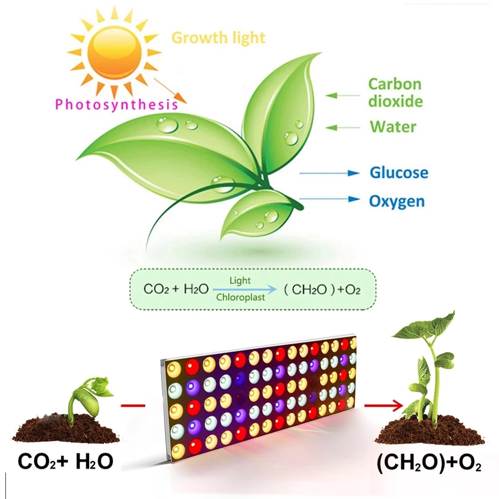 Dimmable LED Grow Light Full Spectrum 750W with Timer for Indoor Tent Garden Hydroponics Seedling Veg Bloom Plant Aquarium Lamp