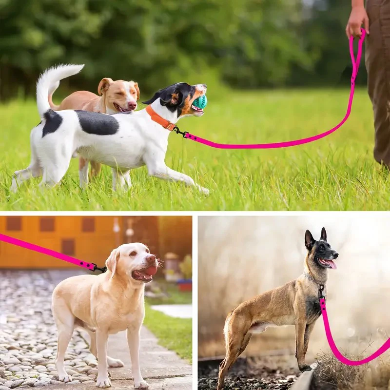 Dog Leash 6 Foot Long PVC Waterproof And Easy Clean Dog Leashes Walk Training Durable For Large Medium Small Dogs