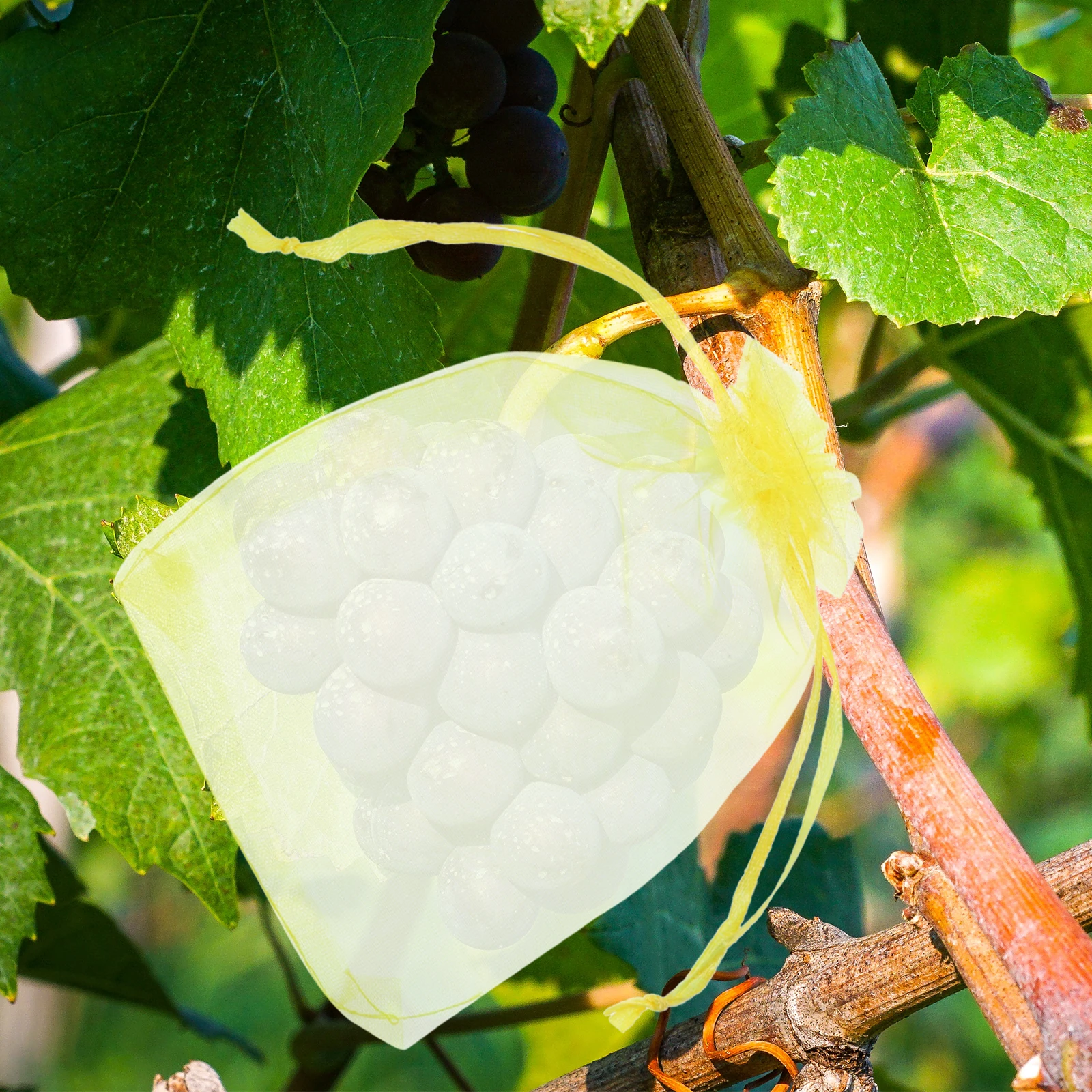 

100 Pcs Mesh Birdproof Bag Fruits Netting with Drawstring Organza Anti Bags for Trees