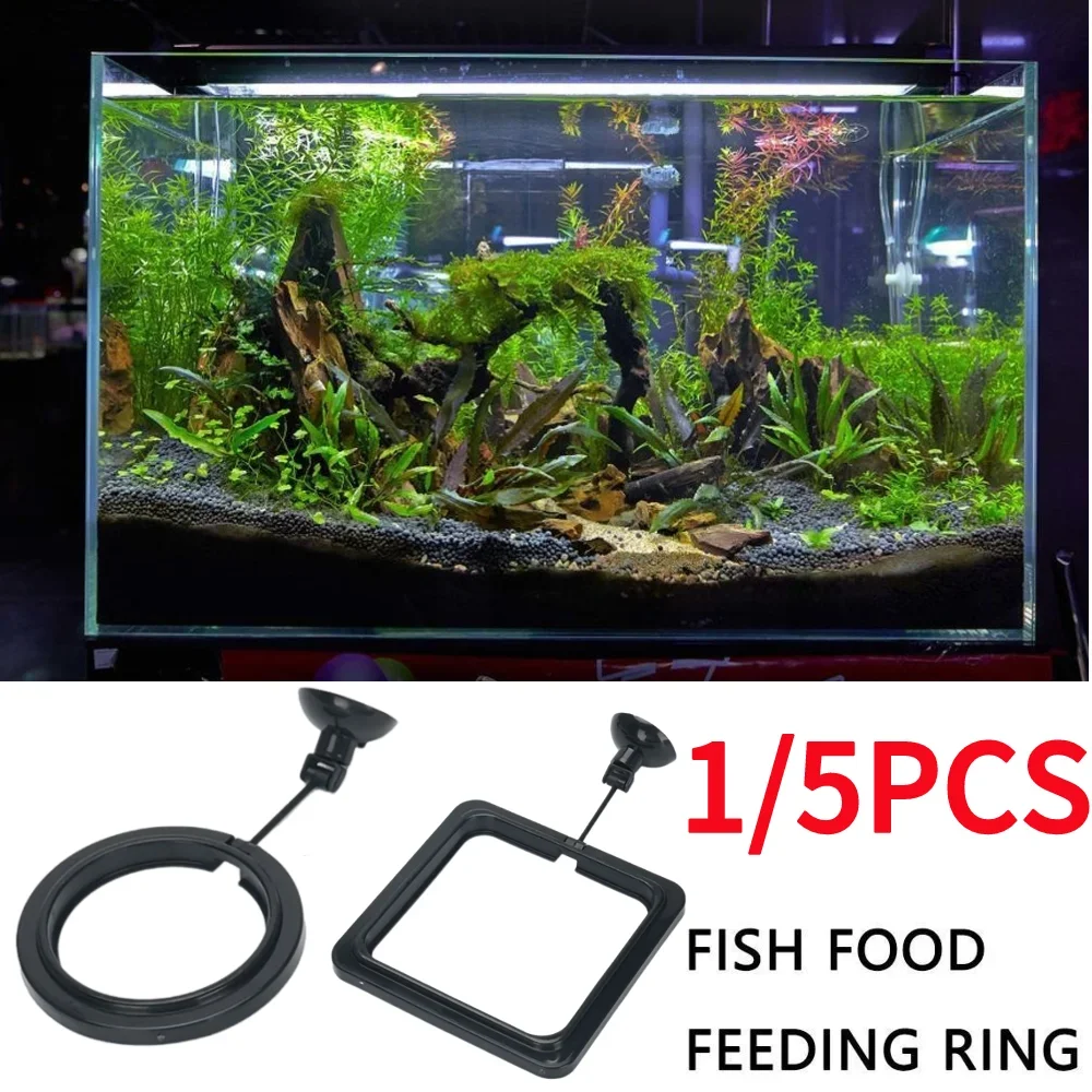 1/5PCS Fish Food Feeding Ring Fishing Equipment with Suction Cup Station Floating Food Tray for Guppy Betta Aquarium Accessories