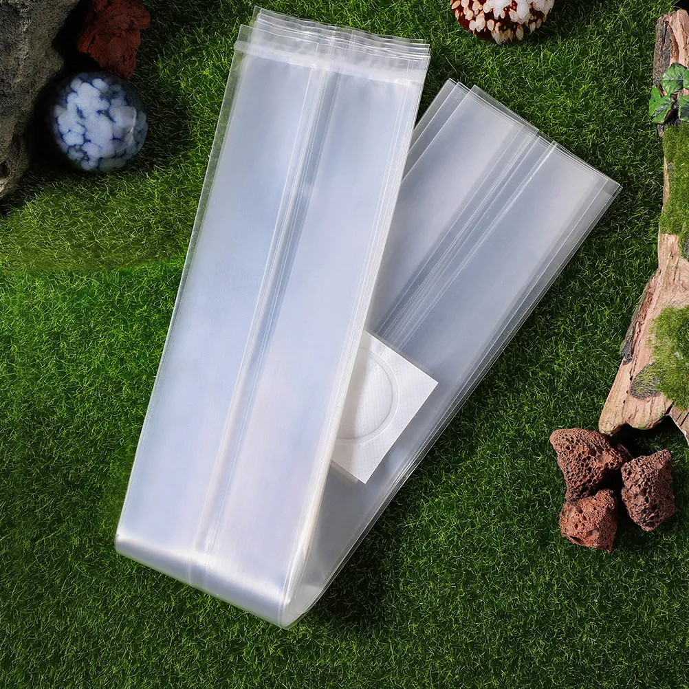 30 sacs de culture de champign - Mushroom Spawn Bag avis et prix