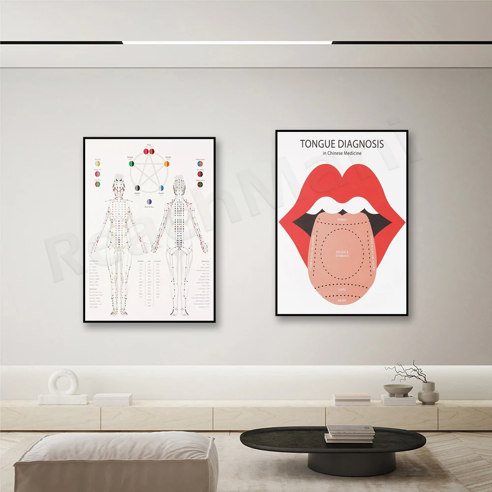 Tongue diagnosis diagram, scalp acupuncture, acupuncture meridian print. Traditional Chinese medicine, herbal medicine poster