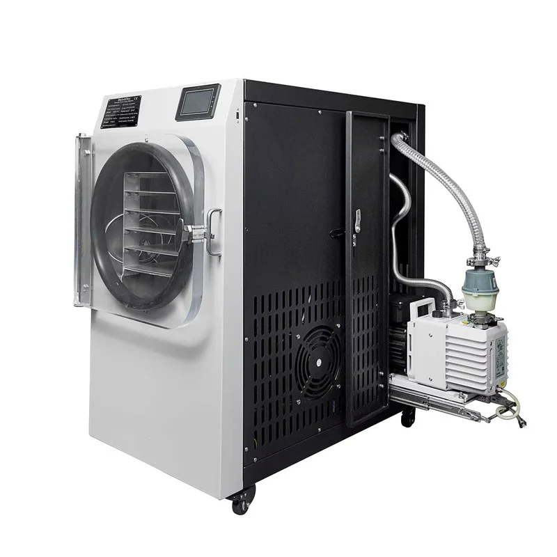 Hot-Selling Vacuum Drying Equipment 5KG 10KG Industrial Freeze Dryer For Dehydrating Strawberries And Apples