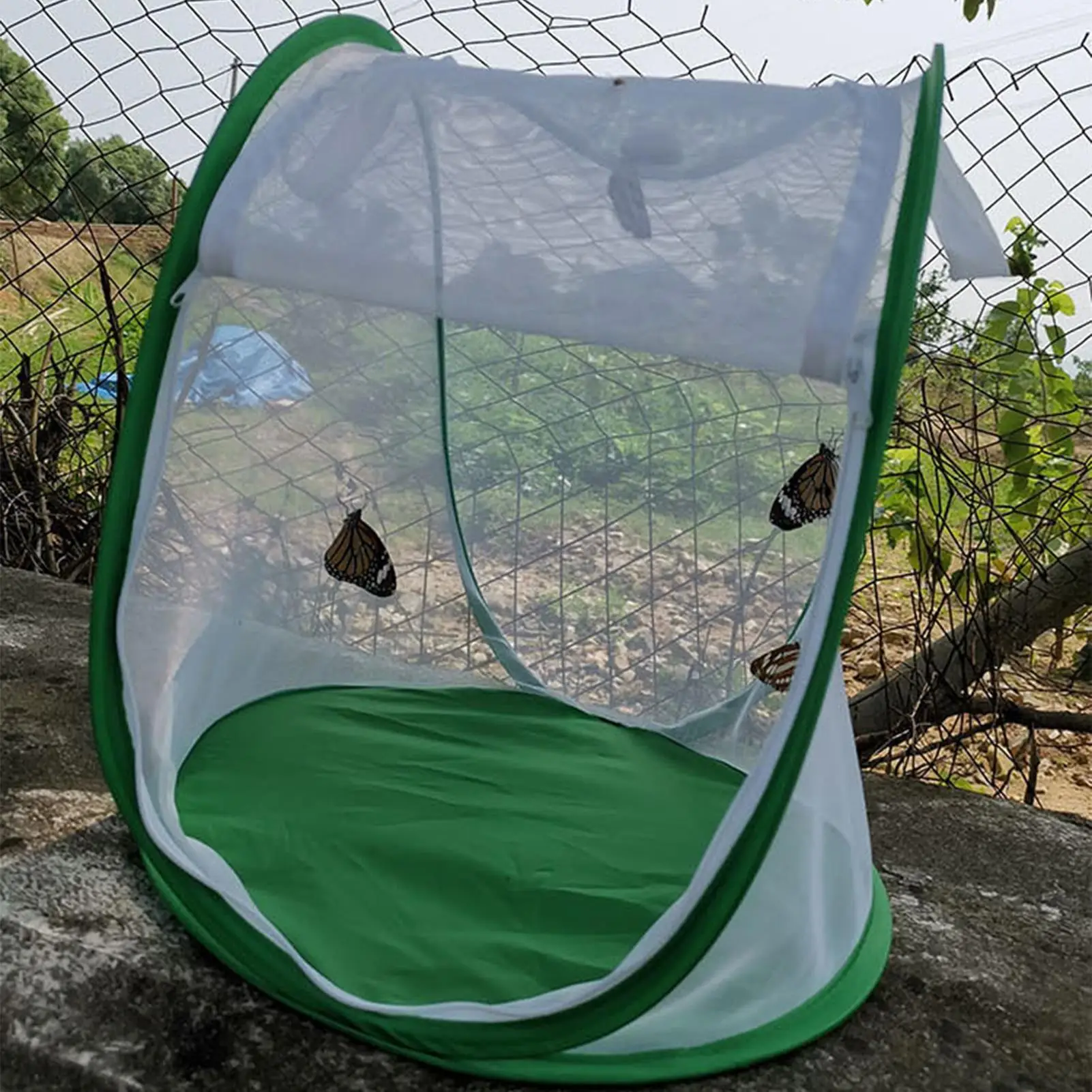 Foldable for insect Mesh Cage - Sturdy Dense Mesh with Large Opening for Easy Feeding