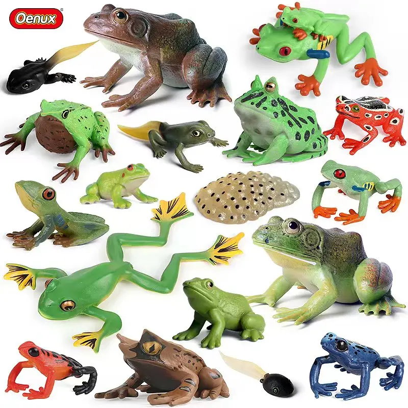 Oenux Wild Animals Bullfrog Model Simulation Tadpole Hatch Frog Growth Cycle Action Figures PVC Cute Educational Toys Kids Gift