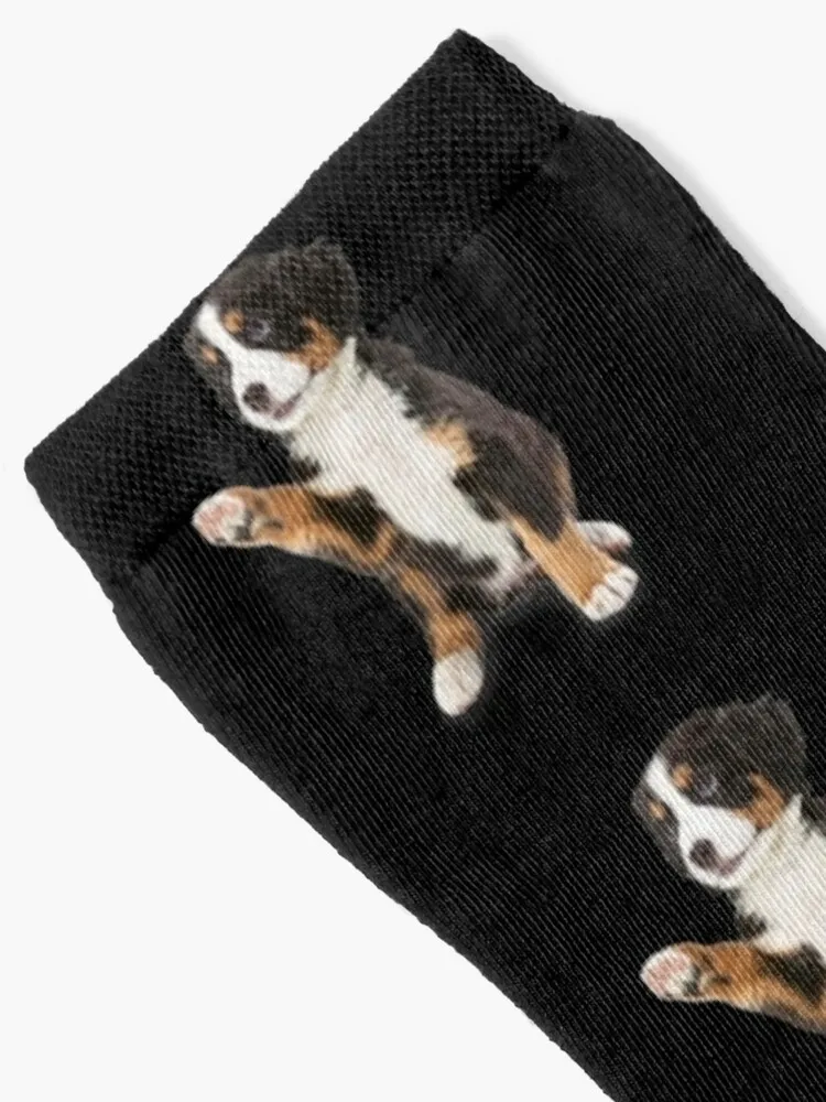 Chaussettes visage de chien de montagne bernois, jolies chaussettes