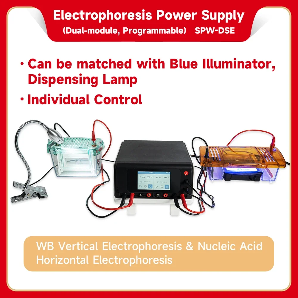 Adjustable Programmable Dual Module DC Power Supply for Electrophoresis