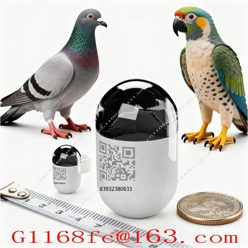 1-20pcs Professional and Accurate GPS Ring Speed Data Analysis Function, Used for Daily Training Locator of Racing Pigeons