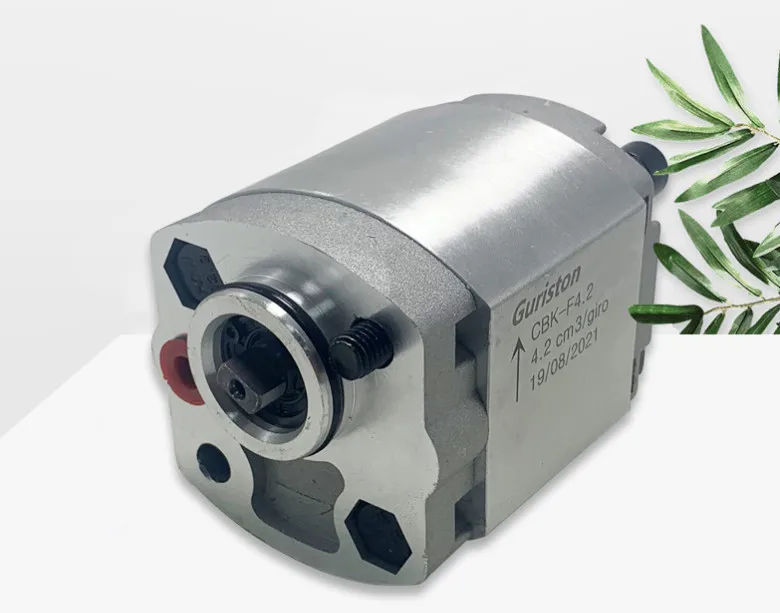 CBK gear pump CBK-F0.5 hydraulic oil pump power miniature gear pump