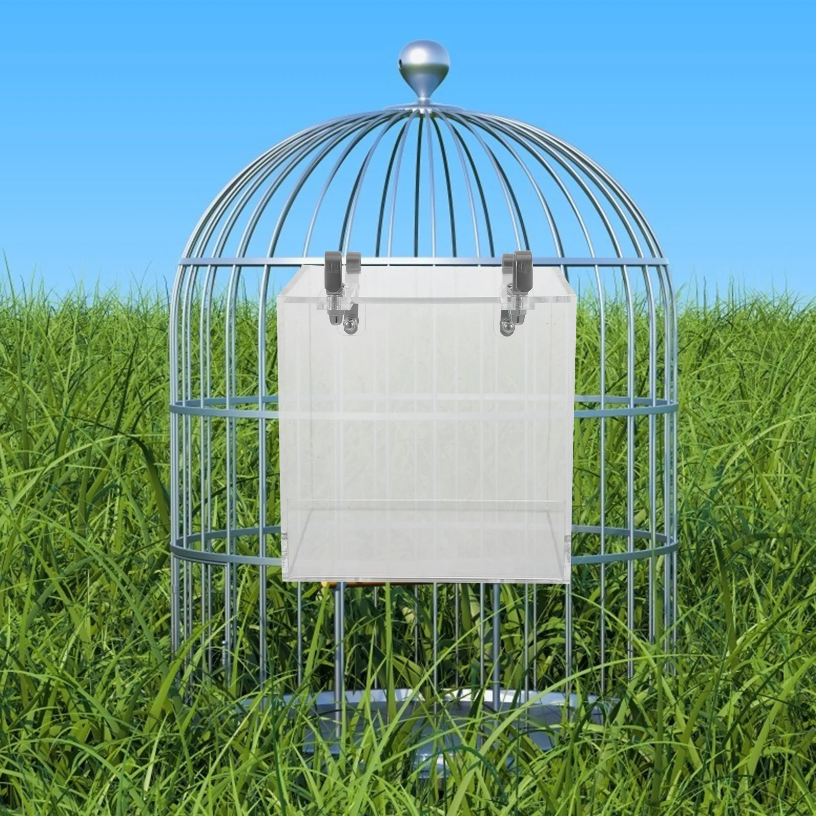 

Parrot Bathing Box Decorative Bird Shower Container High Grade Acrylic Relieves Boredom Increases Activity Level