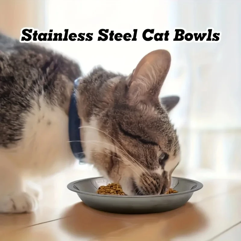 Slip-Resistant Stainless Steel Cat Bowl Set – Low-Profile Wide Design for Kittens & Small Pets Anti-Tip Base Feeding Station