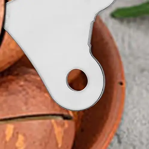 [د] 10/20 قطعة جوز المكاديميا/الجوز/اللوز/البقان فتاحة قشرة الجوز العملية للاستخدام المنزلي أداة صغيرة مقشرة الجوز