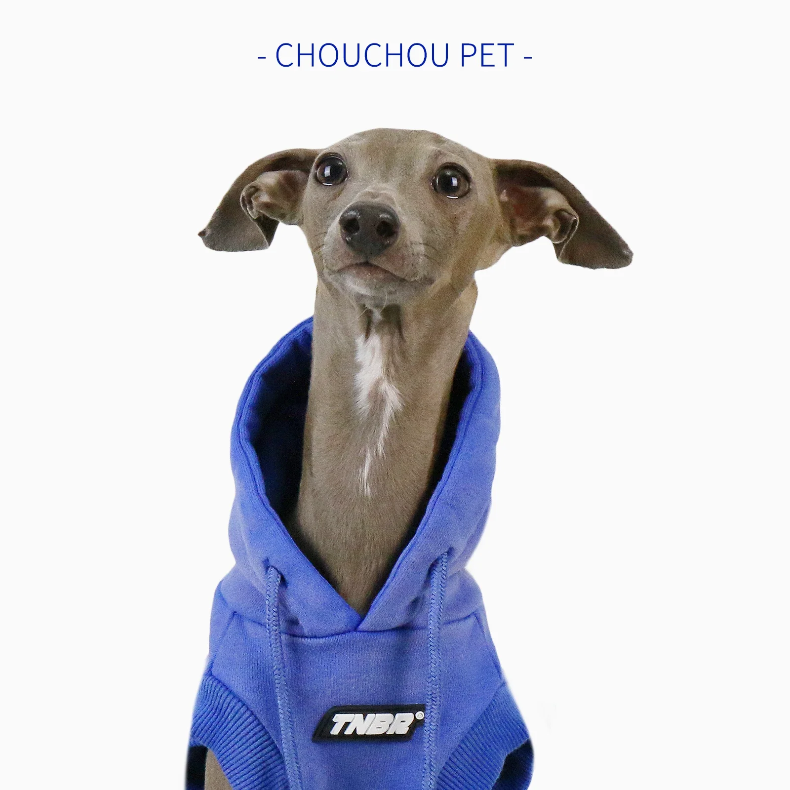 Imagem -05 - Camisola sem Mangas com Capuz para Pet Gradiente Print na Moda Adequado para Pelúcia Pequena e Média Cão Pequeno e Médio Galgo Primavera e Outono