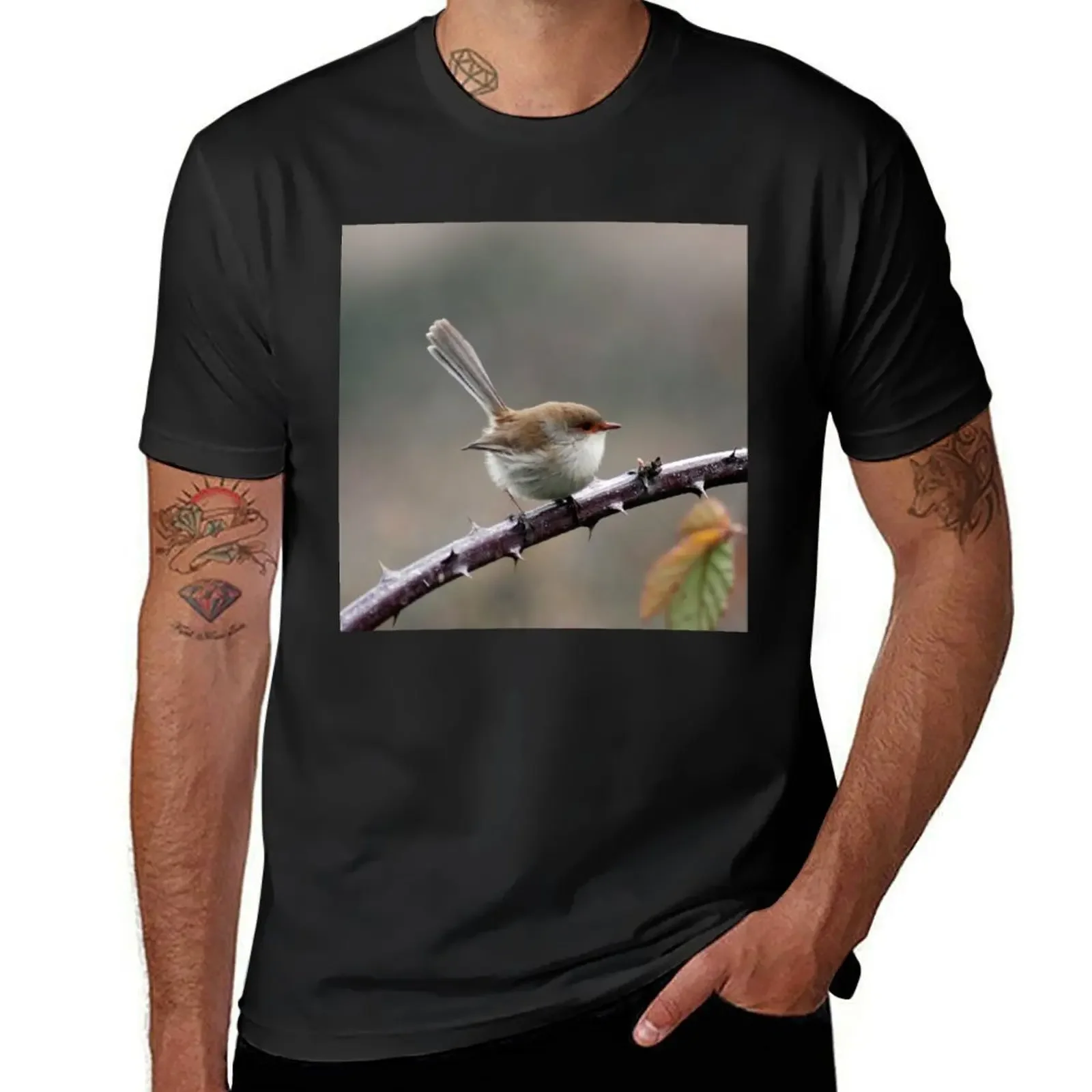 Australian Bird, Female Superb Fairy Wren, Wildlife Bird Photography T-Shirt blanks t shirts for men cotton