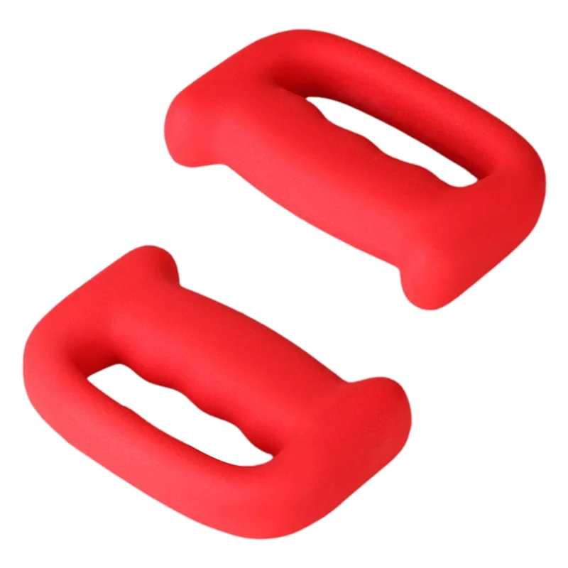 

A65G-Premium Hand Weights For Men And Women For Shadowboxing, Boxing Training,Aerobics, Core And Fitness Exercises(2Kg)