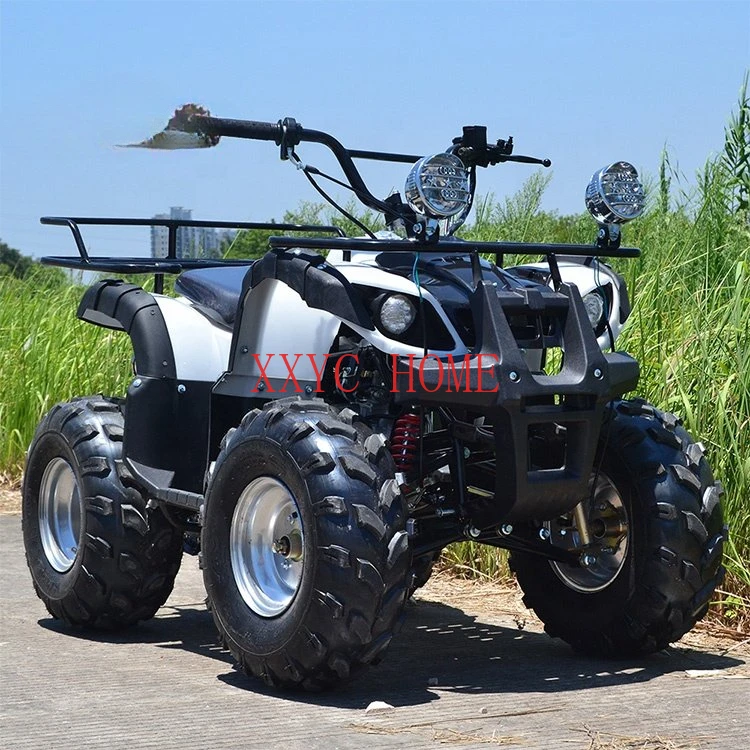 

Ядро оптом 110cc 125CC 150cc 200cc 250cc 500cc ATV 4x4 400cc 800cc Atv