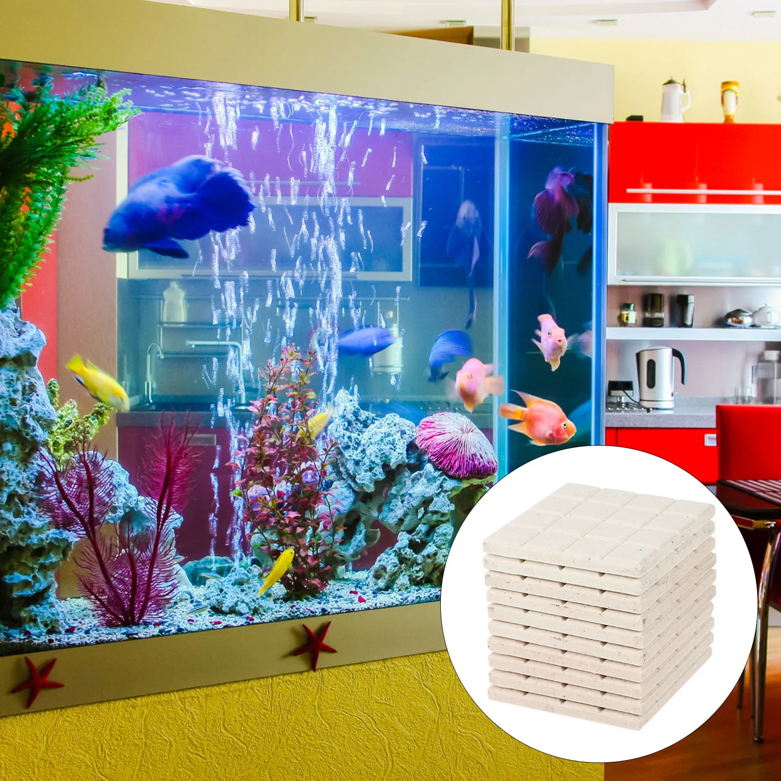 

10Pcs Ceramic Coral Rack Reusable Durable Smooth Polished Aquarium Coral Breeding Supplies Fish Tank Rack