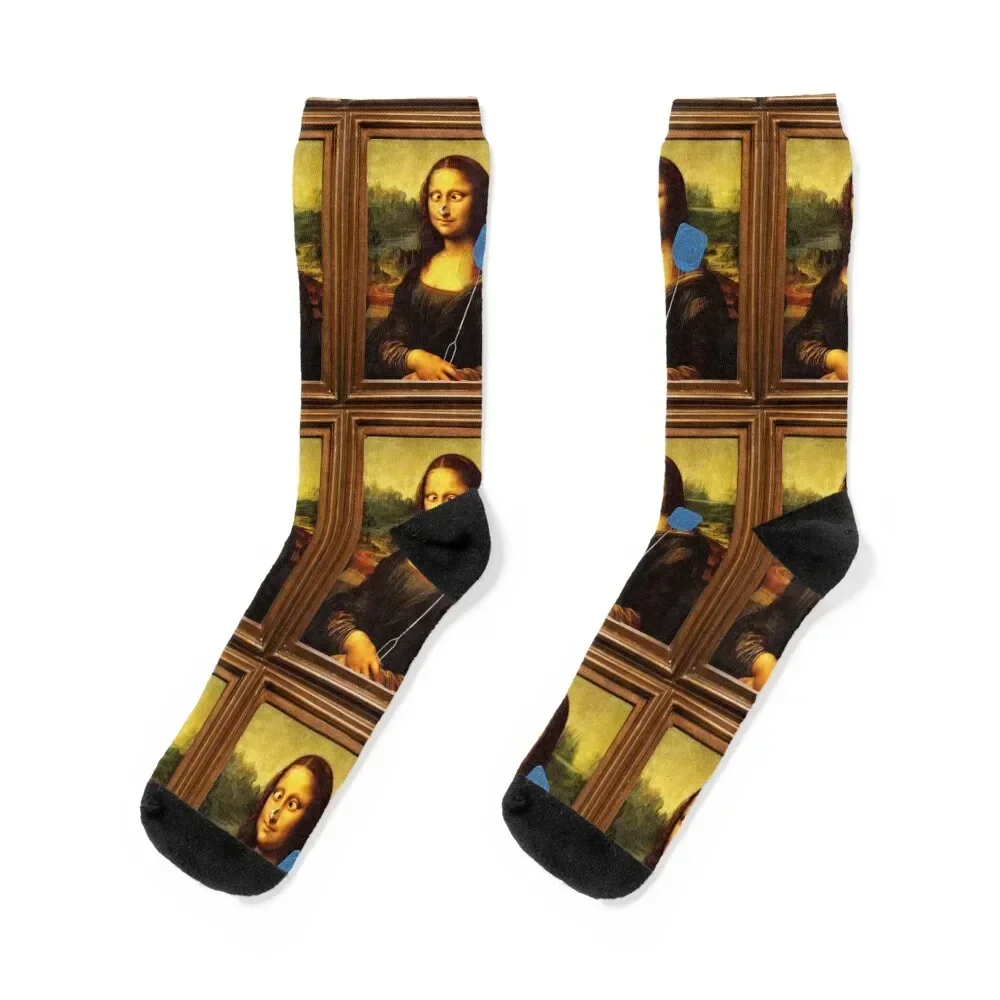 

Leonardo da Vinci Funny Mona Lisa with fly swatter fly on nose Socks Stockings Wholesale colored Designer Man Socks Women's