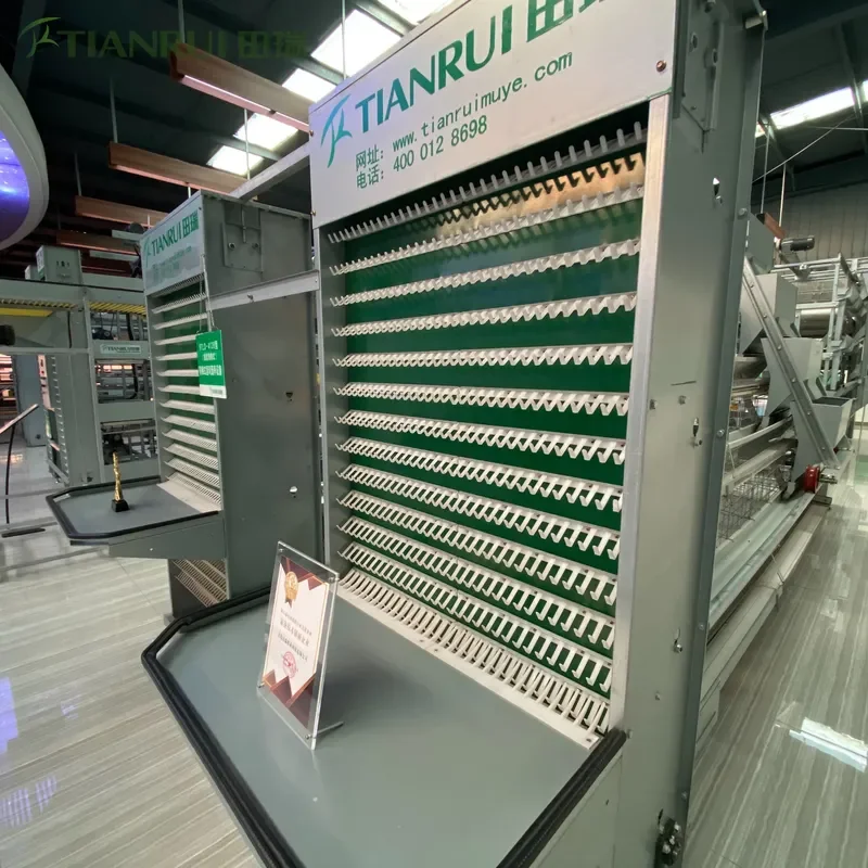 High Quality Easy Install Poultry Layer Cage for Chickens Battery Cage for New Condition