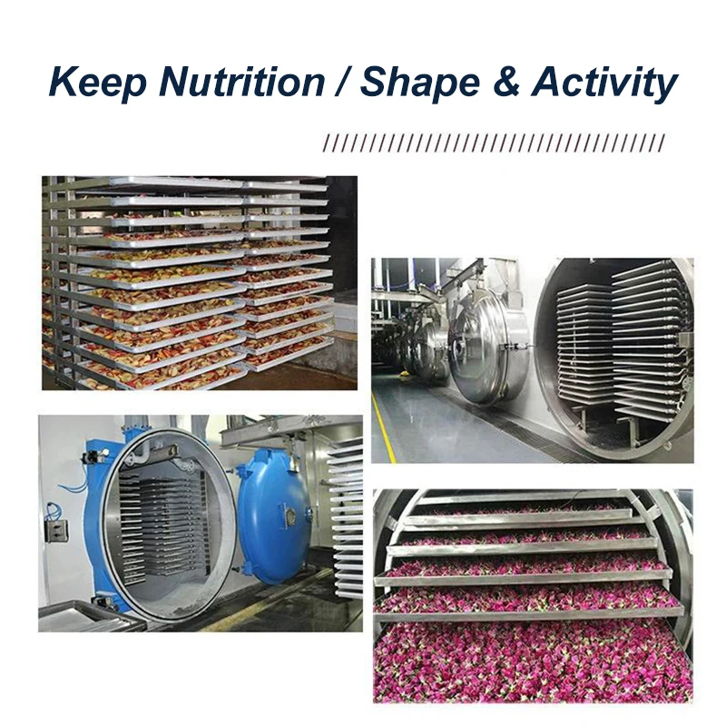 Fruit Food Processing Vacuum Freeze Dryer 100kg Machine Lyophilizer Freeze Drying Equipment Automatic Energy Saving Customized