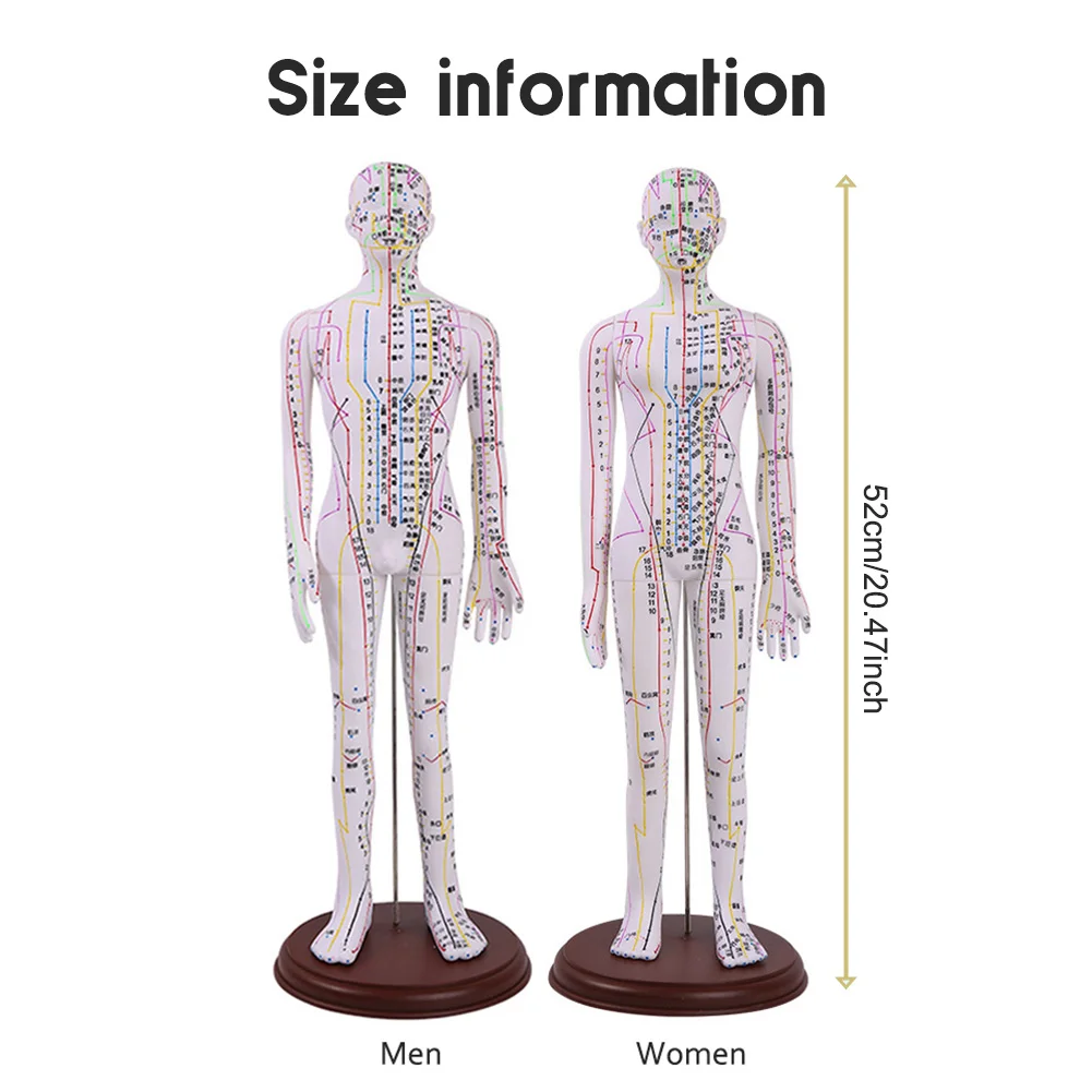 52cm Human Acupuncture Model Pvc Acupuncture Training Model Medical-Chinese Medicine Meridians Acupuncture Moxibustion Model