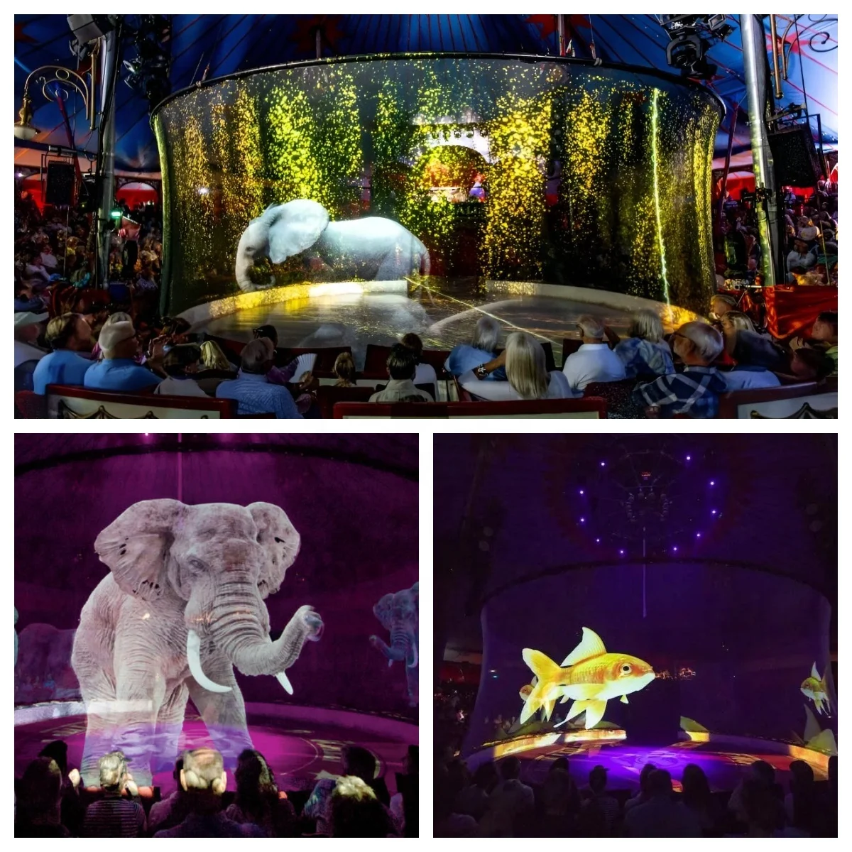 شاشات عرض ثلاثية الأبعاد ثلاثية الأبعاد للعروض، حتى 10 × 30 متر بدون خياطة