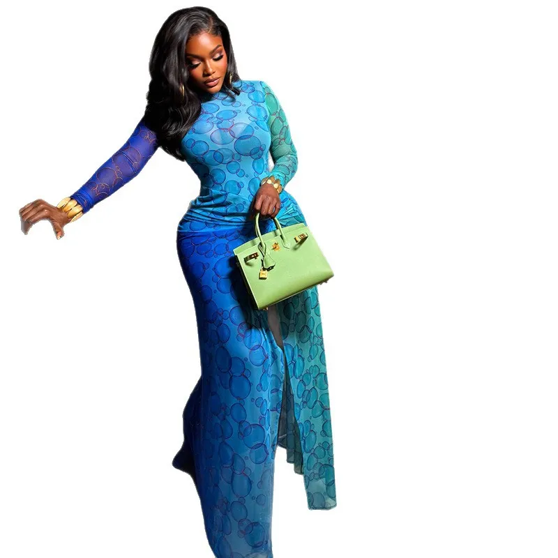 Women's Bodycon Maxi Dress Fall Spring Fashion Long Sleeve Floral Print Tight Fitted Party Club Ruched Dresses