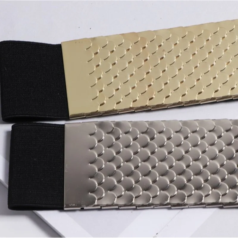 Cintura larga con sigillo in vita alla moda Pratica scala di pesce in metallo Abito decorativo alla moda Vendita calda Cintura elastica per tutto il cappotto