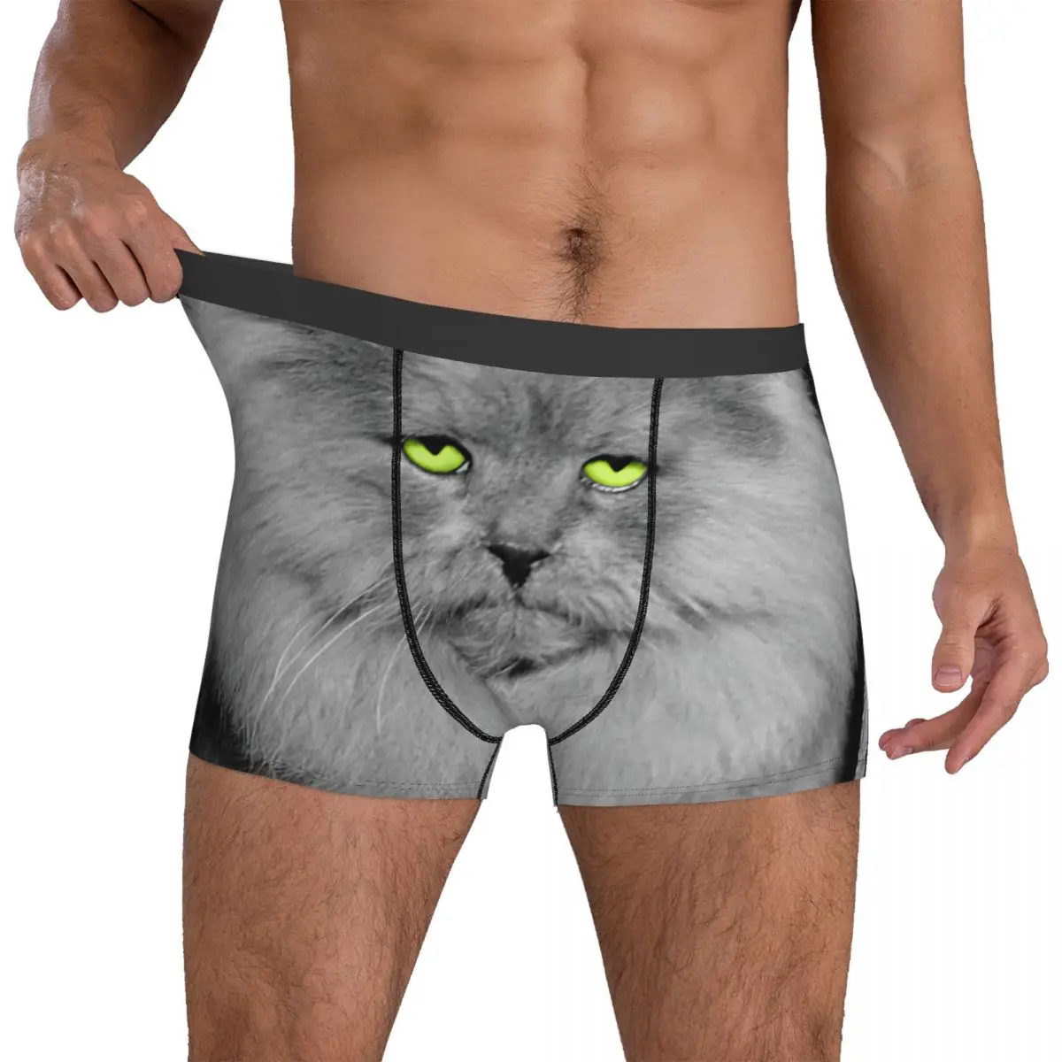 

1940s Long Hair Blue Persian Cat Underpants Breathbale Panties Funny Male Underwear Print Shorts Boxer Briefs