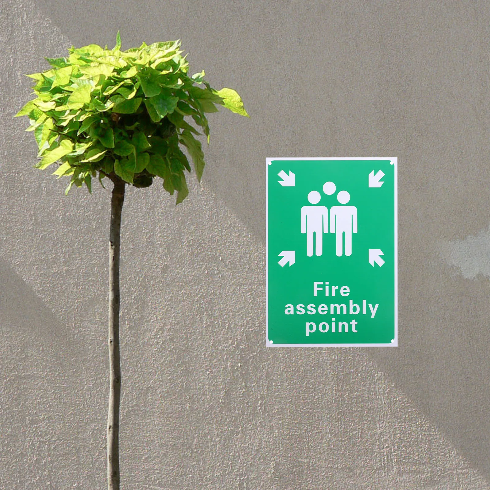 Fire Emergency Assembly Point Sign Sturdy Plastic Safety Warning Sign For Office Outdoor High Visibility Symbol Text
