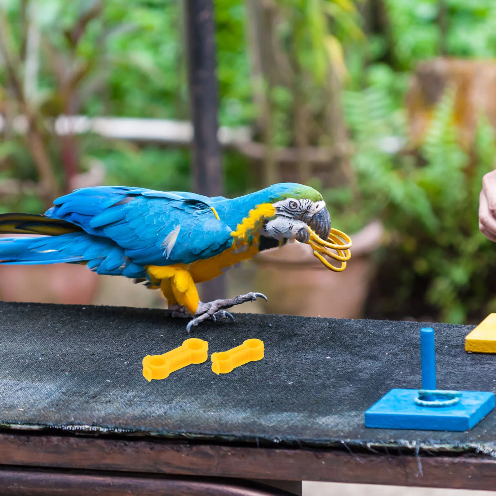 10 قطعة الطيور الساق مصحح الببغاء القدم محاذاة هدفين ل Splay الساق إعادة تأهيل الطيور دعم جهاز الطيور خواتم القدم #2