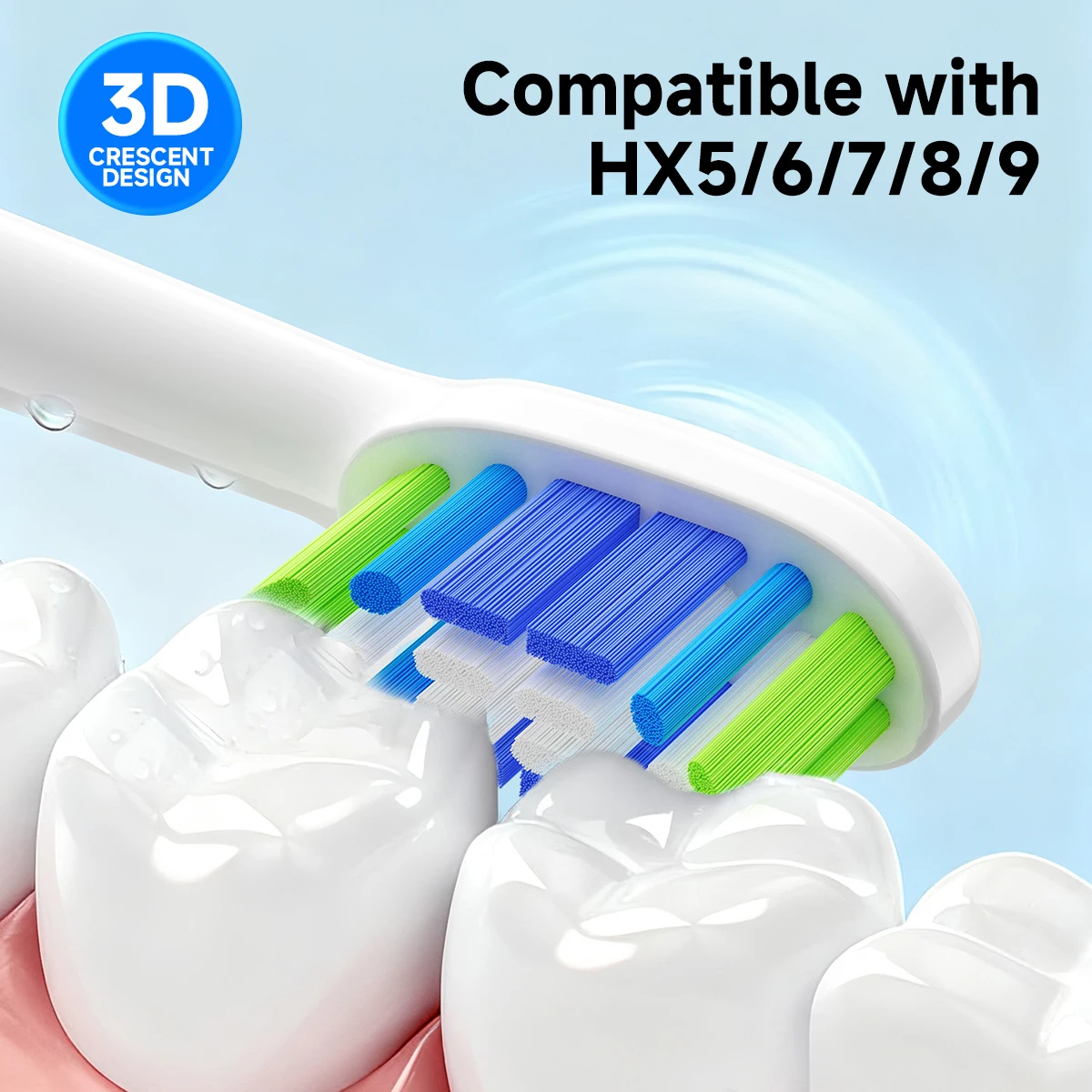 Replacement Brush H…